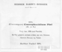 Therrya pini image